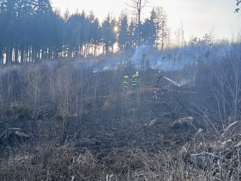 Whatsapp image 2026-03-09 at 16.55.33