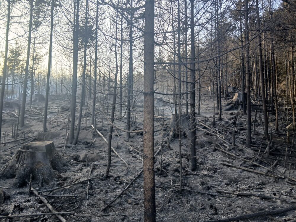 Whatsapp image 2026-03-09 at 16.55.33 (2)