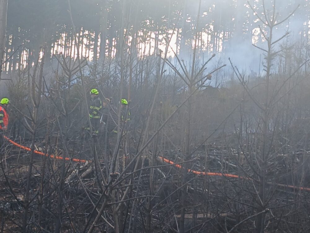 Whatsapp image 2026-03-09 at 16.55.33 (3) - kopie