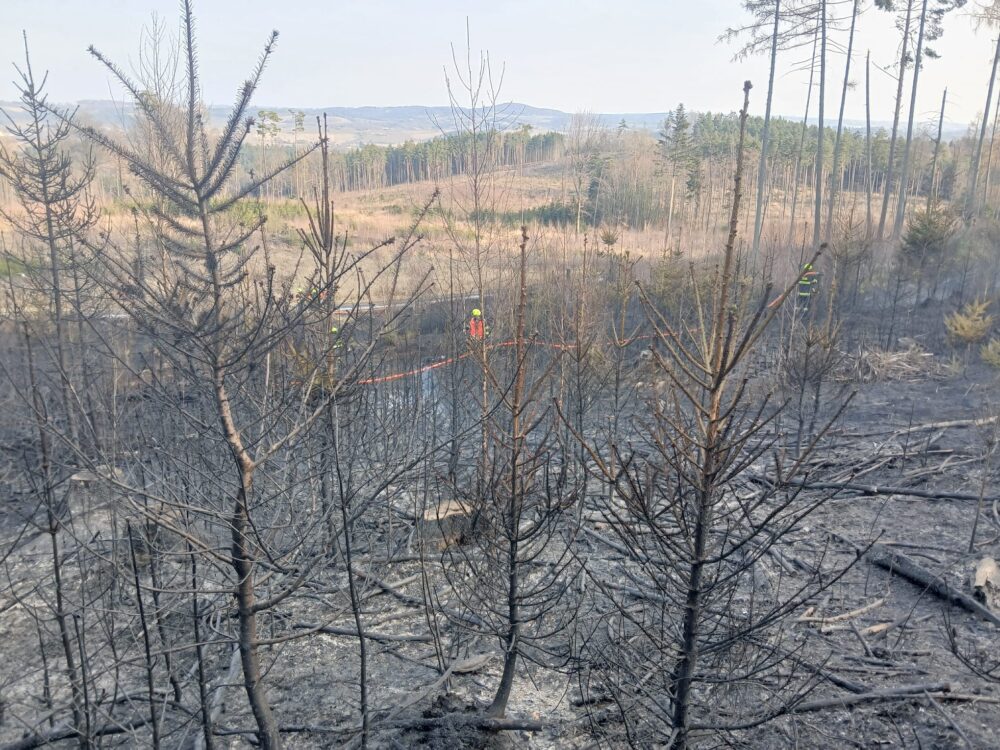 Whatsapp image 2026-03-09 at 16.55.33 (4) - kopie