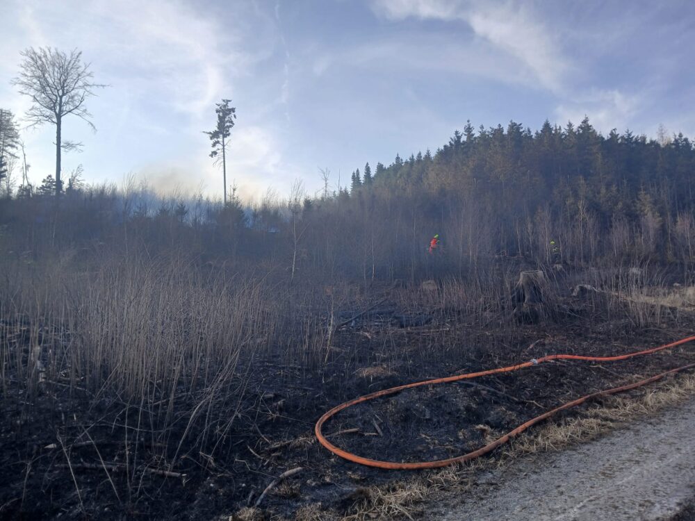 Whatsapp image 2026-03-09 at 16.55.34 (1) - kopie