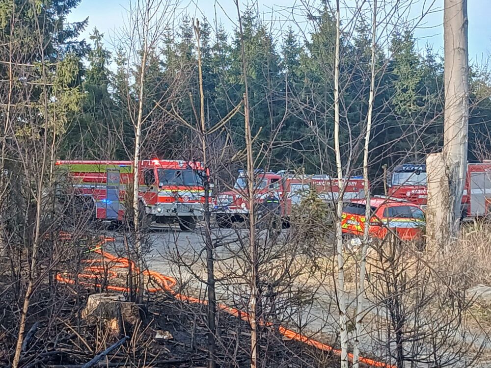 Whatsapp image 2026-03-09 at 16.55.34 (2) - kopie