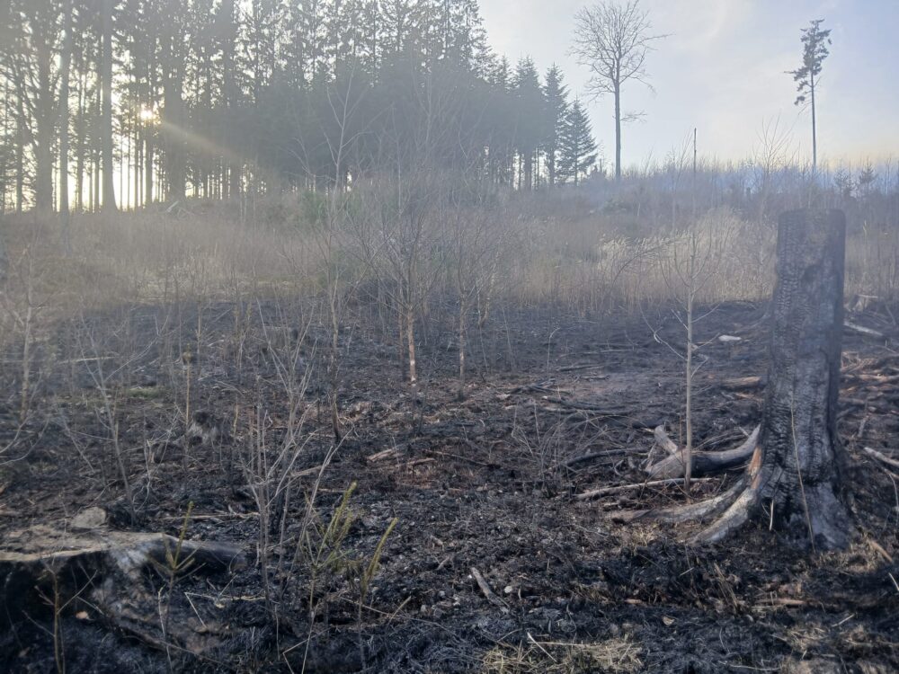 Whatsapp image 2026-03-09 at 16.55.34 (3) - kopie