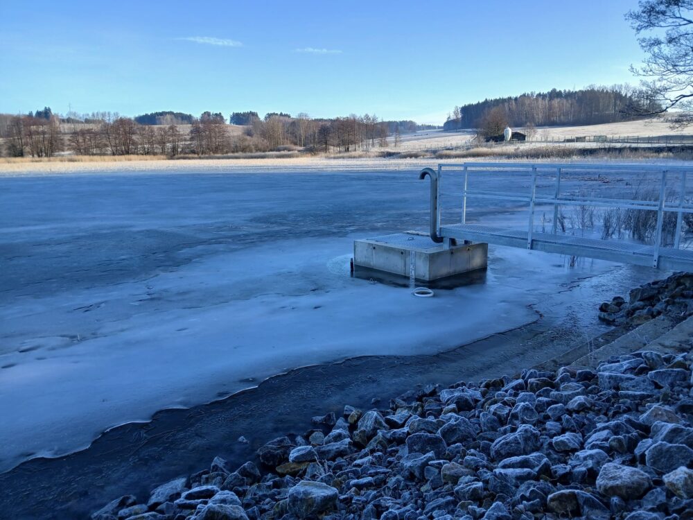 Whatsapp image 2026-03-11 at 11.26.43