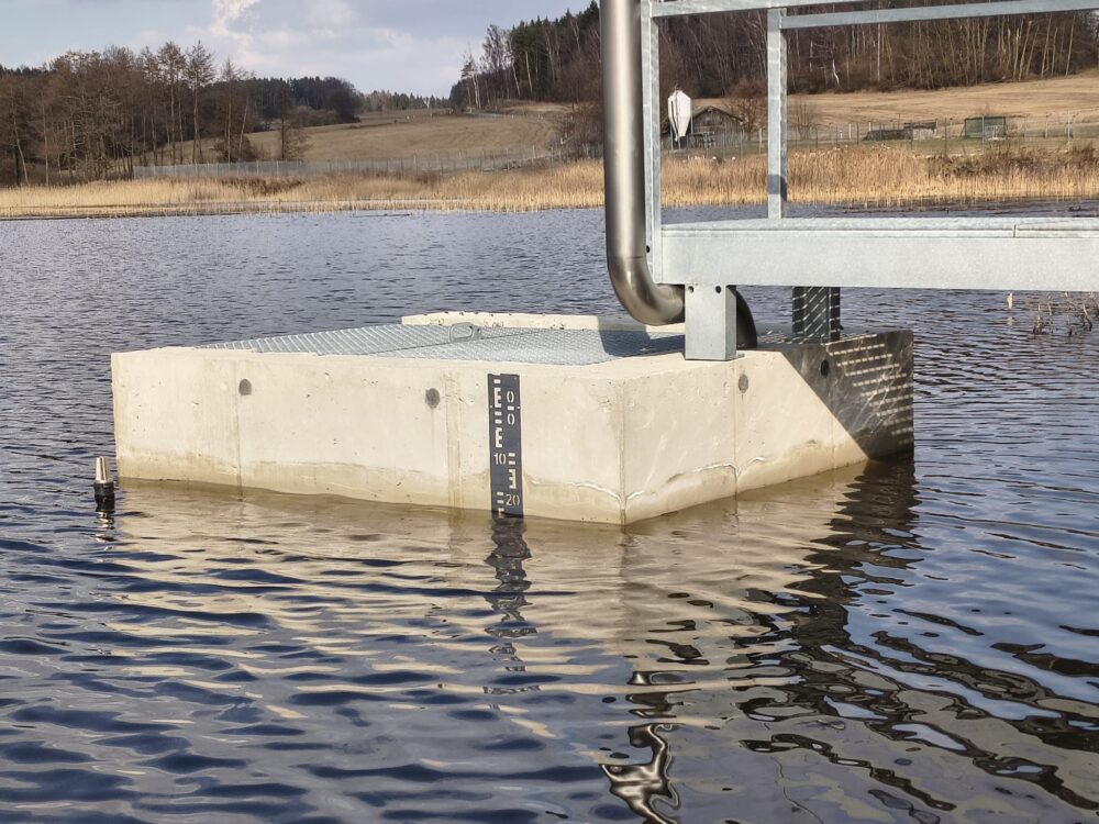 Whatsapp image 2026-03-11 at 14.24.19 (1)