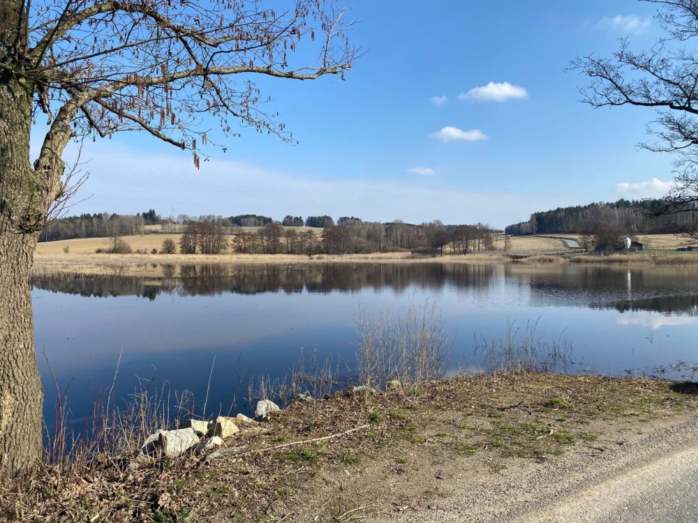 Whatsapp image 2026-03-20 at 09.41.28 (1)