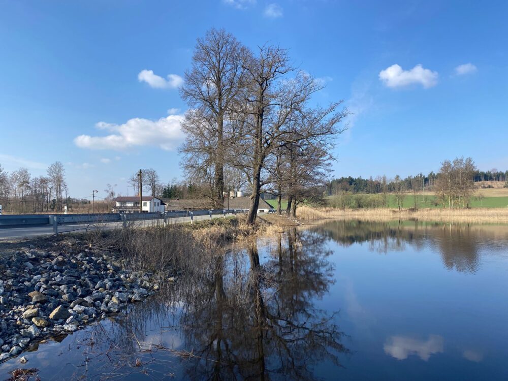 Whatsapp image 2026-03-20 at 09.41.39