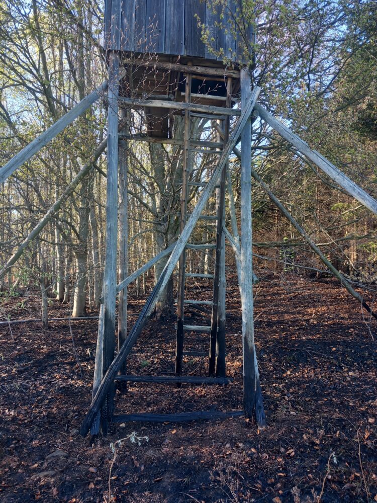 20260425_174915 - kopie