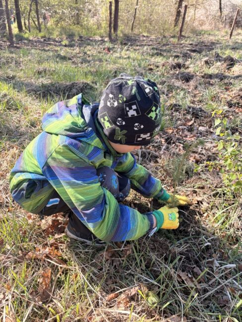 Den země - fotka 17