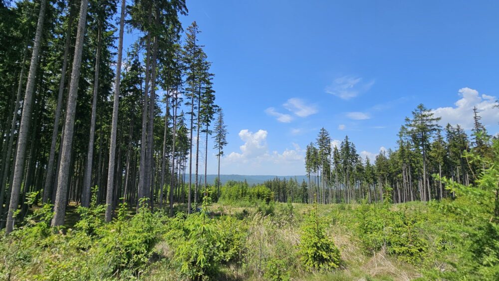Img-20260527-wa0006pa