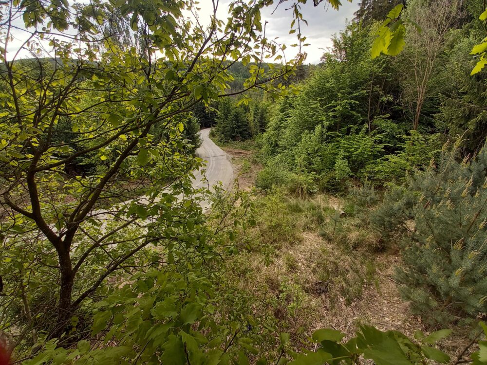 Lc u myslivny - vozovka ze štěrkodrti